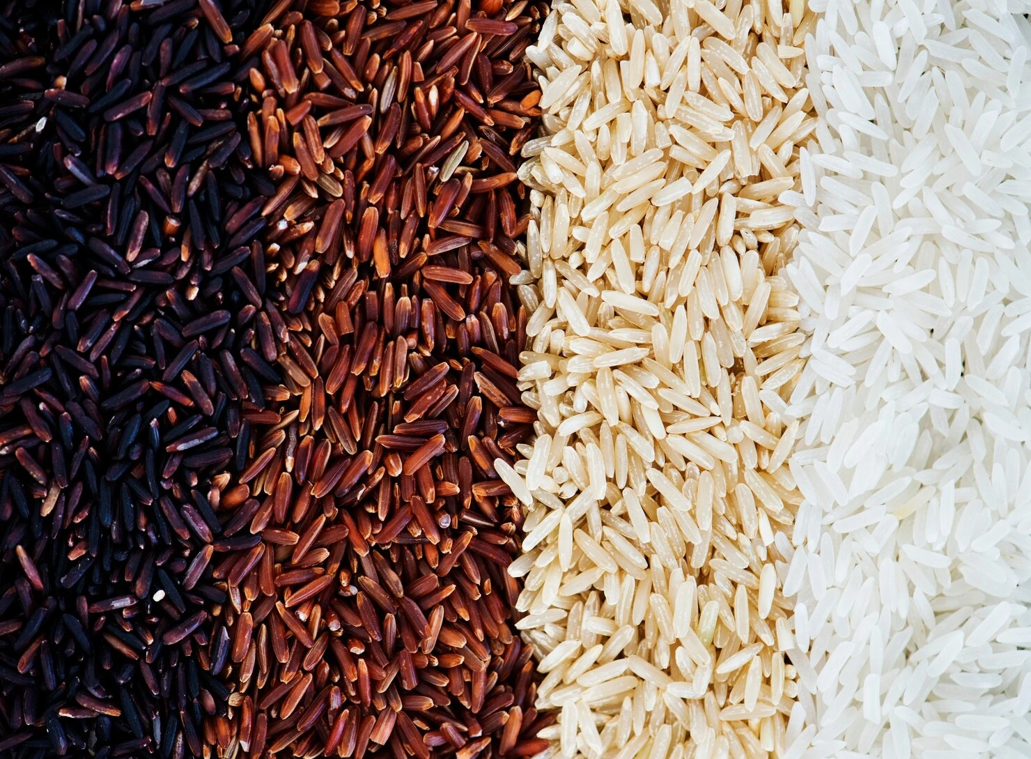 Heritage Rice vs. Regular Rice: Understanding the Difference